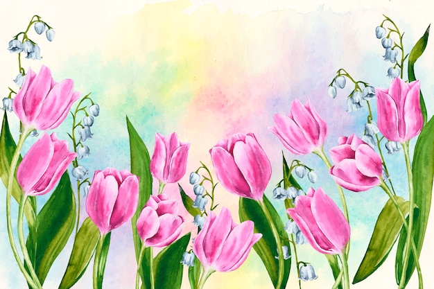 Aquarellfrühlingshintergrund mit bunten Tulpen