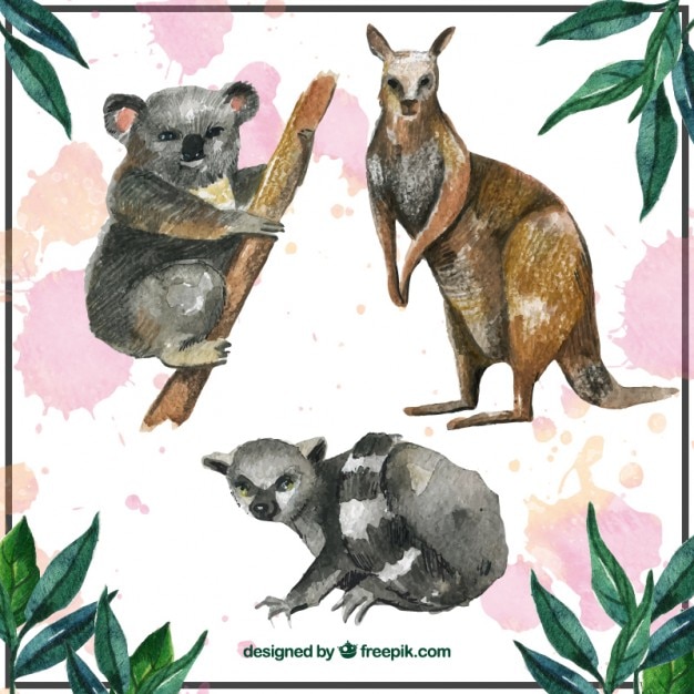 Kostenlose Vektor australian animals collection