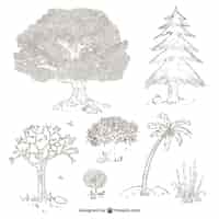 Kostenloser Vektor bäume und pflanzen zeichnungen