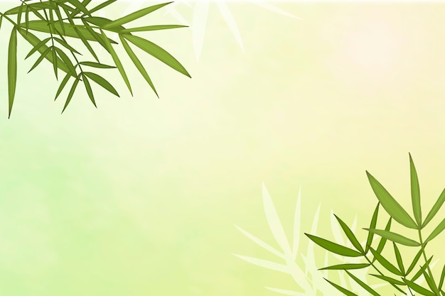 Bambusblatt Hintergrund