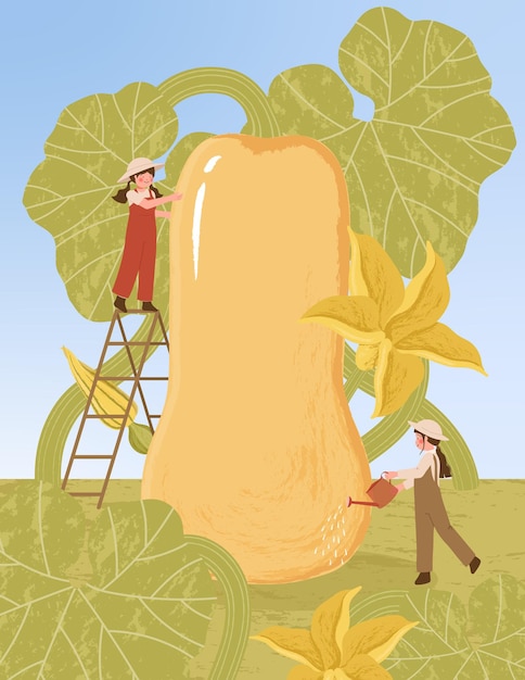 Bauern-cartoon-figuren mit butternut-kürbis-pflanzenernte in farm-plakat-illustrationen
