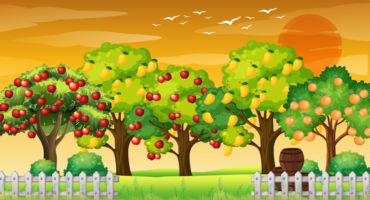 Kostenlose Vektor bauernhofszene mit vielen verschiedenen obstbäumen bei sonnenuntergang