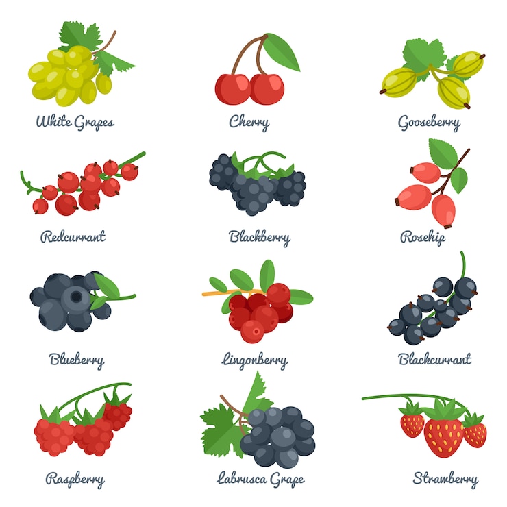 Kostenlose Vektor beeren-flache ikonen eingestellt