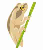 Kostenloser Vektor beige frosch-amphibie