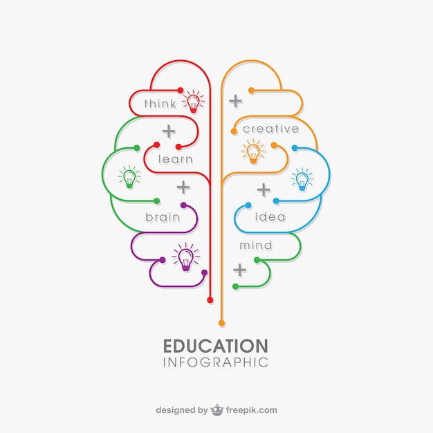 Kostenloser Vektor bildung infografik