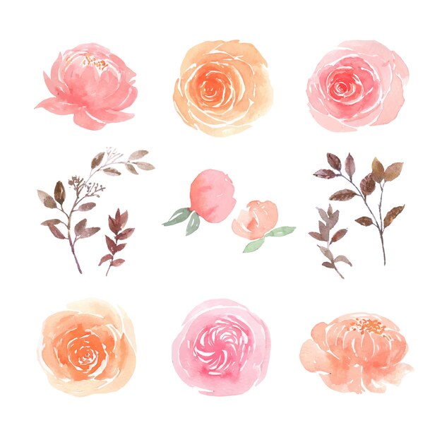 Blätter und Blumenaquarellelementsatz handgemalte üppige Blumen, Illustration der Blume.