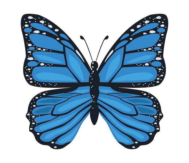 Kostenloser Vektor blaues schönheits-schmetterlings-insektensymbol