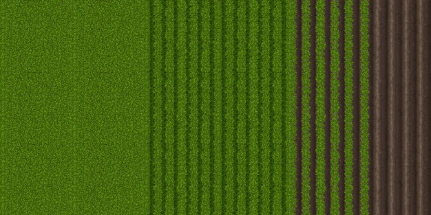Blick von oben auf das Feld mit grünem Gras und gepflügtem Boden. Vektor-Cartoon-Hintergrund von Landschaftsland, Plantage mit Furche auf dem Boden und Reihen von Pflanzen wachsen