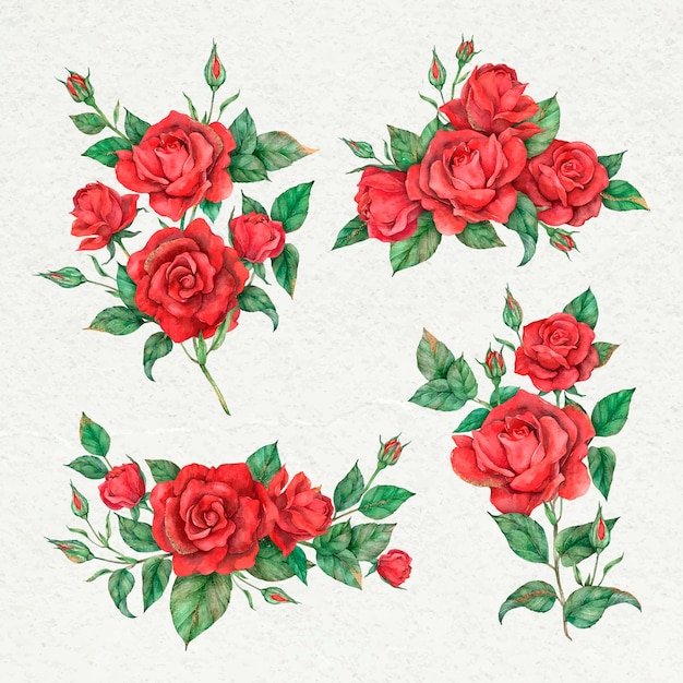 Blühender roter rosenblumensatz Kostenlosen Vektoren