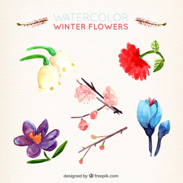 Blumen-Aquarell-Winter