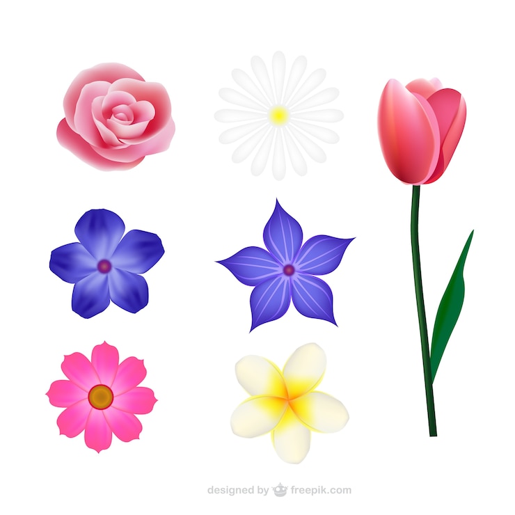 Kostenlose Vektor blumen sammlung