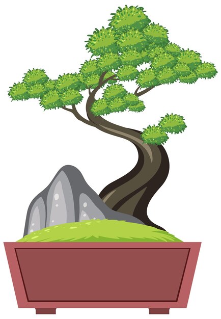 Bonsai-Baum im Topf auf weißem Hintergrund