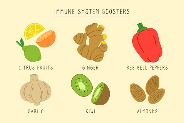 Kostenloser Vektor booster für das immunsystem