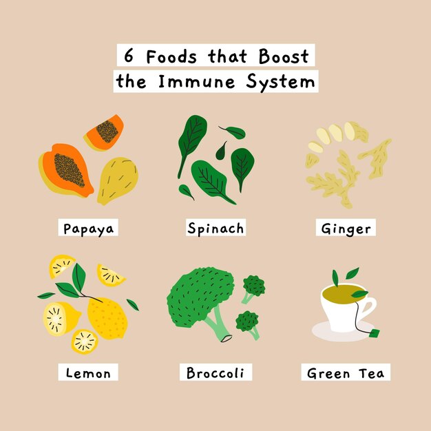 Booster für das immunsystem