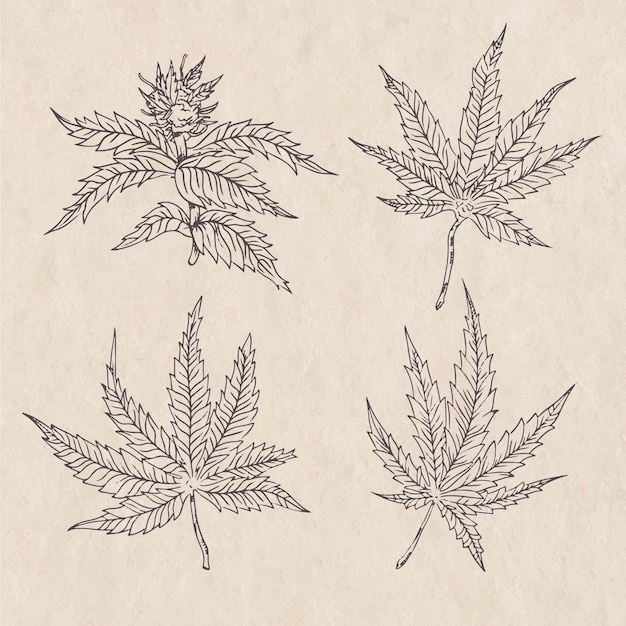 Kostenloser Vektor botanische cannabisblätter