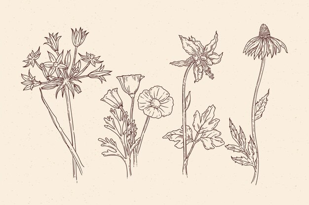 Botanische Kräuter & Wildblumen im Vintage-Stil