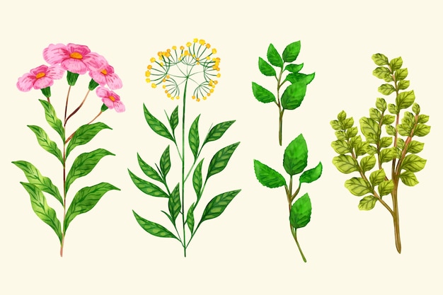 Botanische Kräuter & Wildblumen im Vintage-Stil