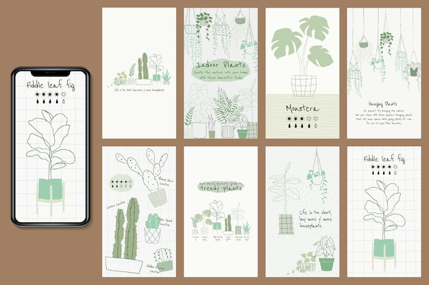 Botanischer vorlagenvektor der zimmerpflanze für social-media-geschichte