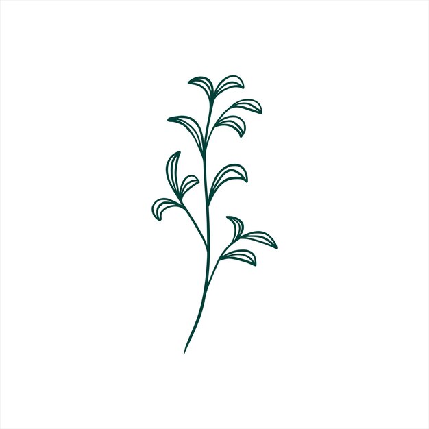 Botanisches Blatt Doodle Wildblumen Strichzeichnungen