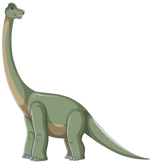 Brachiosaurus isoliert auf weißem hintergrund