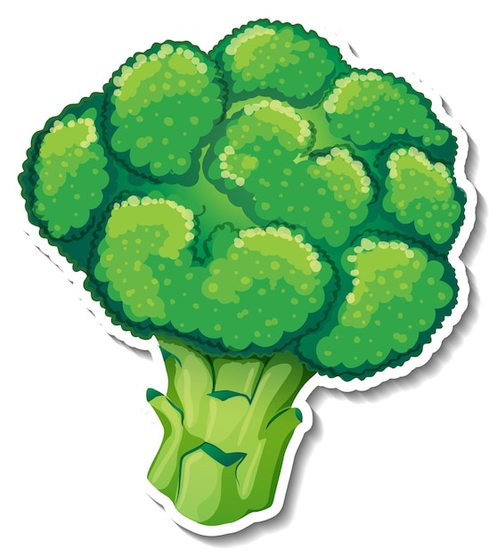 Kostenloser Vektor brokkoli-aufkleber auf weißem hintergrund