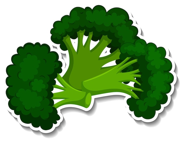Kostenloser Vektor brokkoli-aufkleber auf weißem hintergrund