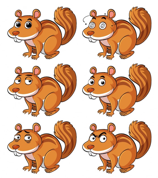 Kostenloser Vektor brown eichhörnchen mit verschiedenen mimik