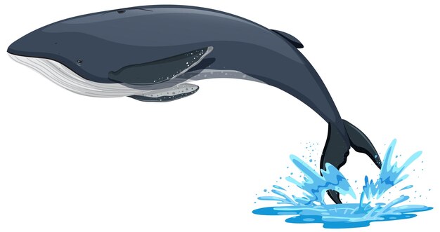 Buckelwal-Cartoon auf weißem Hintergrund
