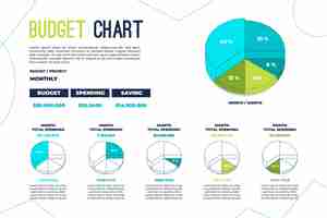 Kostenloser Vektor budget infografik konzept