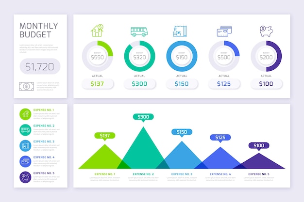 Kostenloser Vektor budget infografik