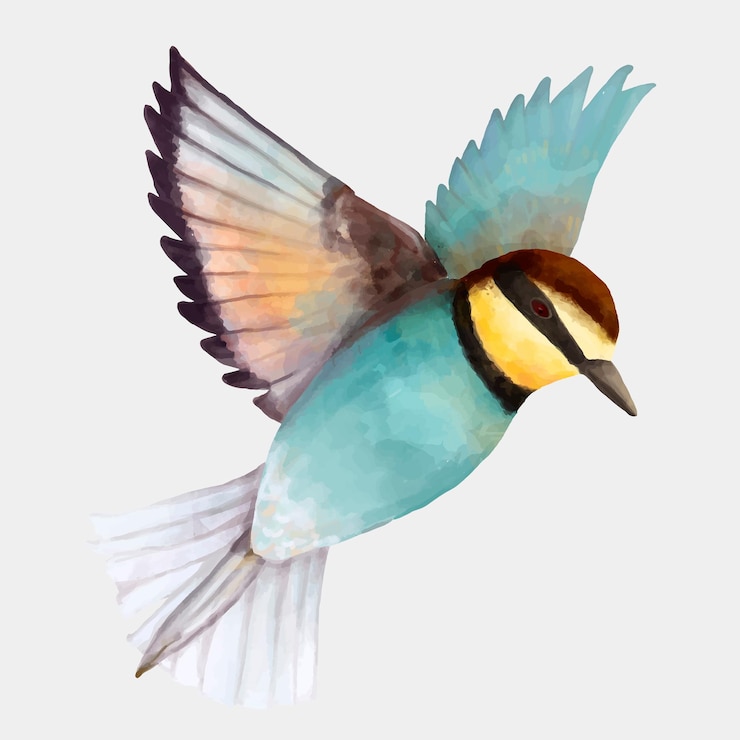 Kostenlose Vektor bunte blaue vogel-aquarell-cliparts