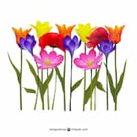 Kostenloser Vektor bunte blumen illustration