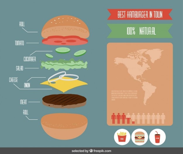 Kostenloser Vektor bunte infografik des hamburger
