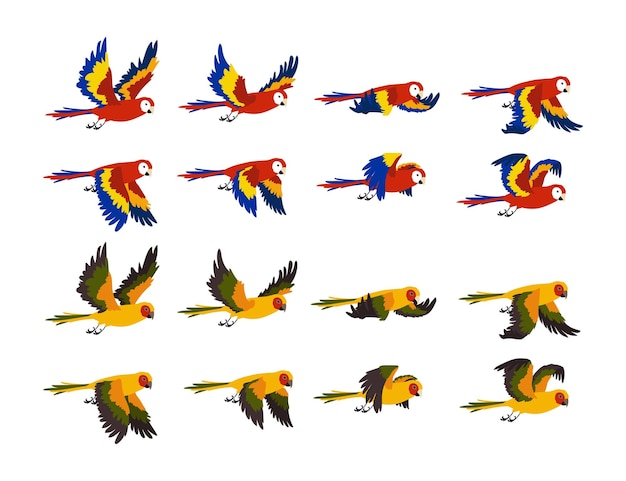 Bunte tropische papageien, die cartoon-illustrationsset fliegen. abfolge von vogelflügelschlägen, flügelbewegungen. sprite-schleife von ara fliegt im himmel isoliert auf weißem hintergrund. tier, bewegungskonzept