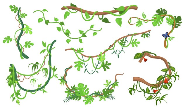 Buntes Lianen- oder Dschungelpflanzen-Flachset für Webdesign. Karikaturkletterzweige der tropischen Weinreben und der isolierten Vektorillustrationssammlung der Bäume. Regenwald-, Grün- und Vegetationskonzept