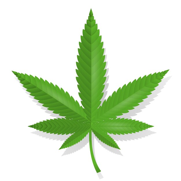 Cannabis-Blatt-Symbol