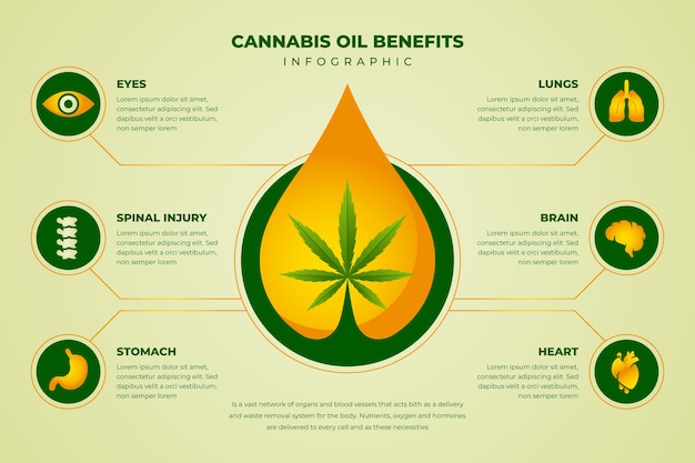 Cannabisöl profitiert infografik vorlage