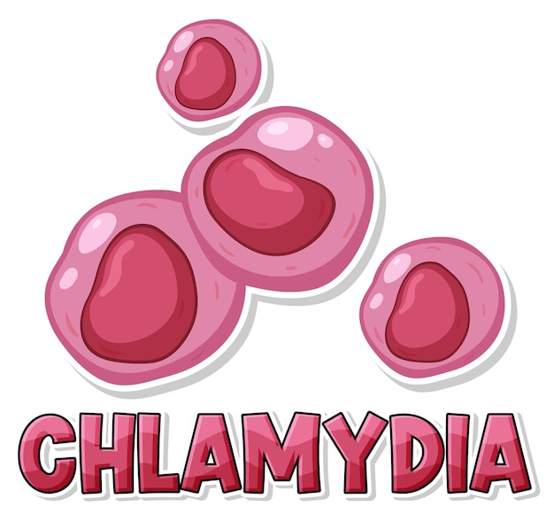 Chlamydia trachomatis-Virus auf weißem Hintergrund