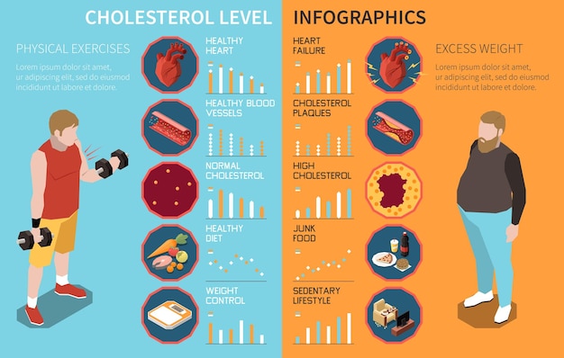 Cholesterinspiegel-infografiken mit gesunden und übergewichtigen menschen, vektorgrafik