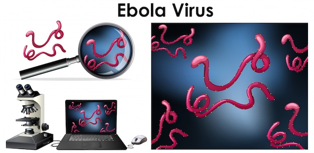 Close up isolierten gegenstand des virus ebola