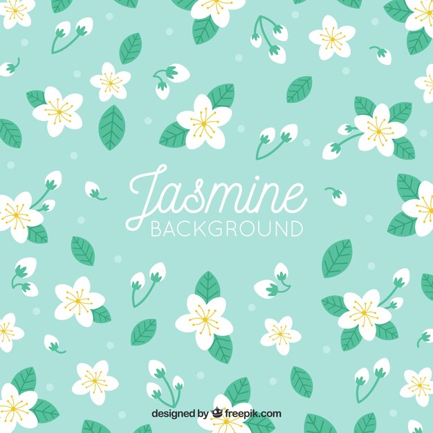 Dekorativer Hintergrund mit Jasmin