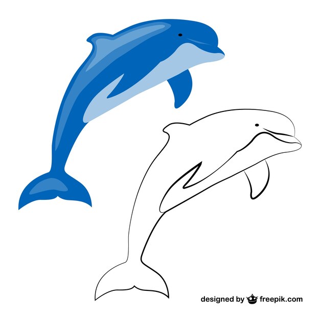 Bilder Delphin Gratis Vektoren Fotos Und Psds