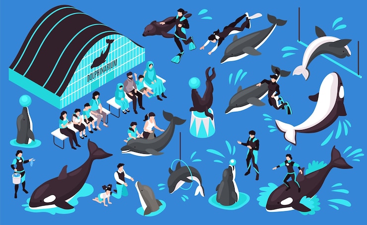 Kostenlose Vektor delphinarium isometrischer satz von tiertrainern delphin orca, der in der öffentlichkeit und zuschauern auftritt, isolierte vektorillustration