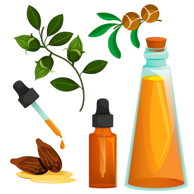 Detaillierte Jojoba-Elementsammlung