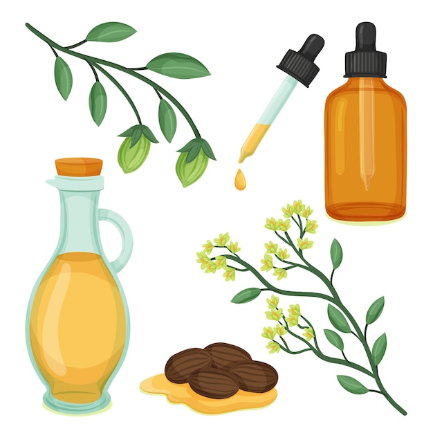 Detaillierte jojoba-elementsammlung