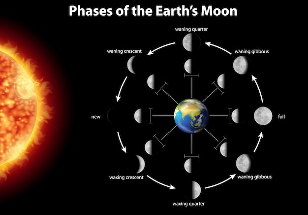 Diagramm, das mondphasen auf der erde zeigt