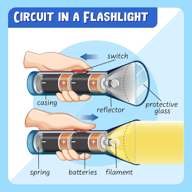 Kostenloser Vektor diagramm, das schaltung in einer taschenlampen-infografik zeigt