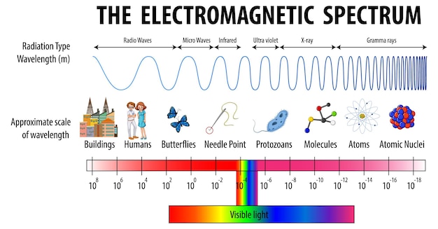 Diagramm des elektromagnetischen spektrums der wissenschaft