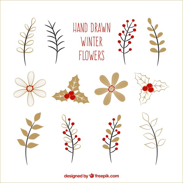 Die Auswahl von handgezeichneten Blumen für den Winter