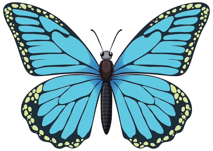 Kostenlose Vektor die lebendige blaue schmetterling-illustration